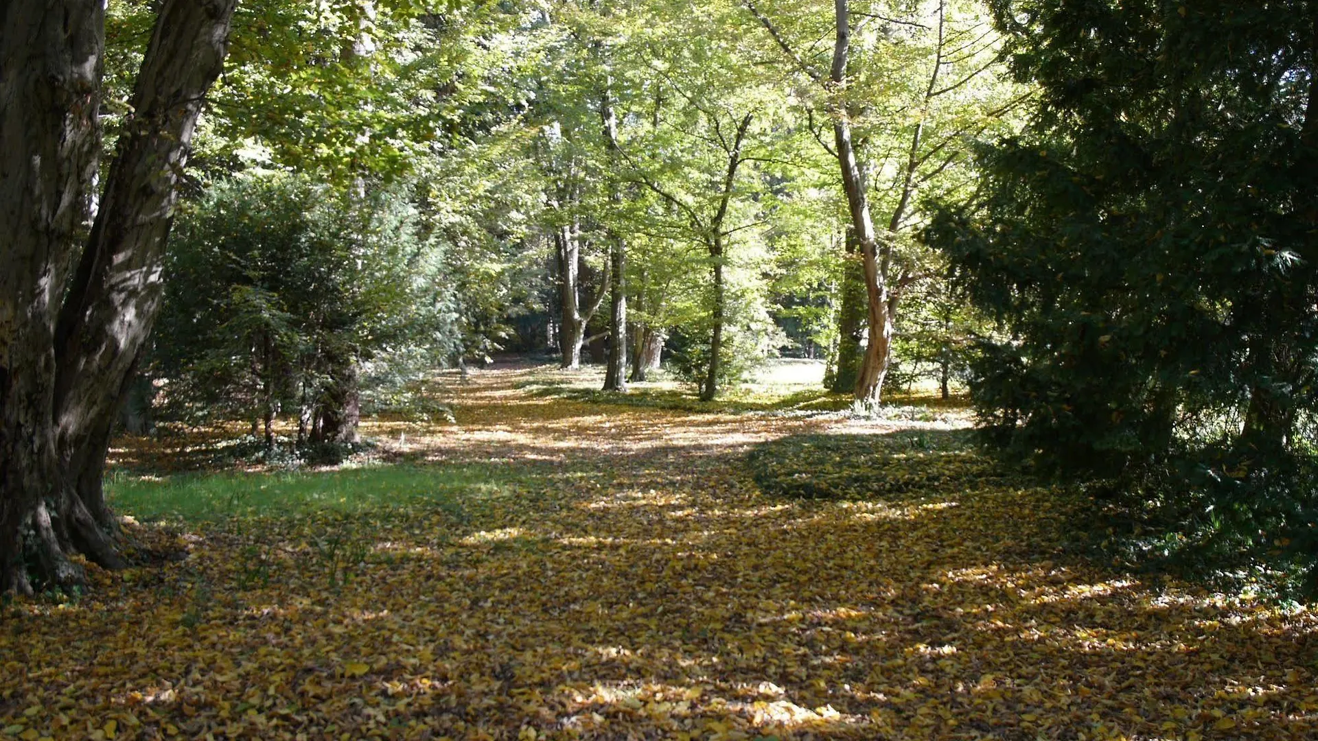 Bed & Breakfast B&B Giardino Jappelli Rosa